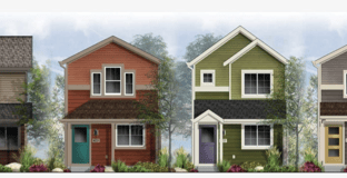 wee_cottage_audience_town